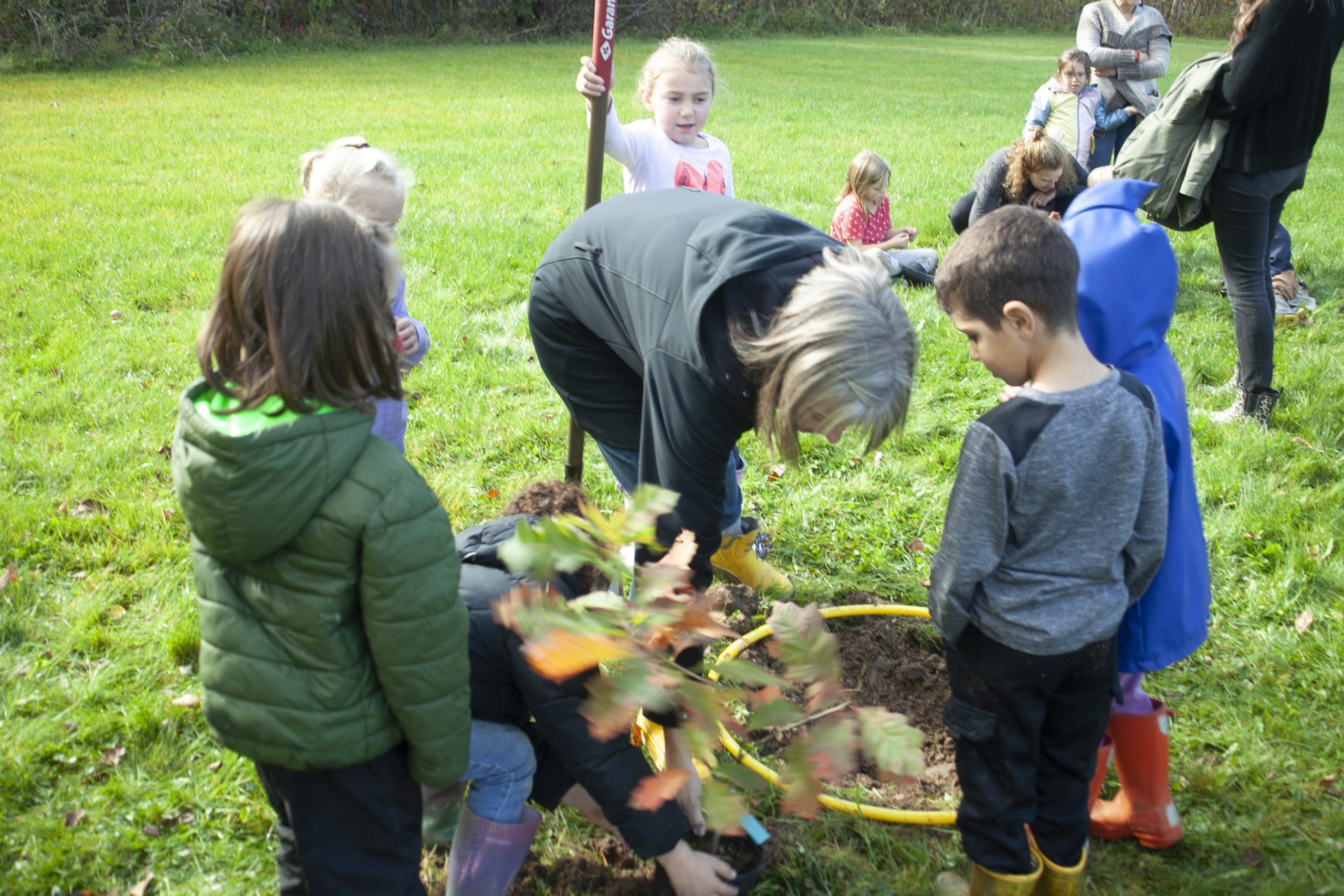A teacher and students plant a tree at Kingsclear Community School during Take Me Outside Day, Oct. 18, 2023.