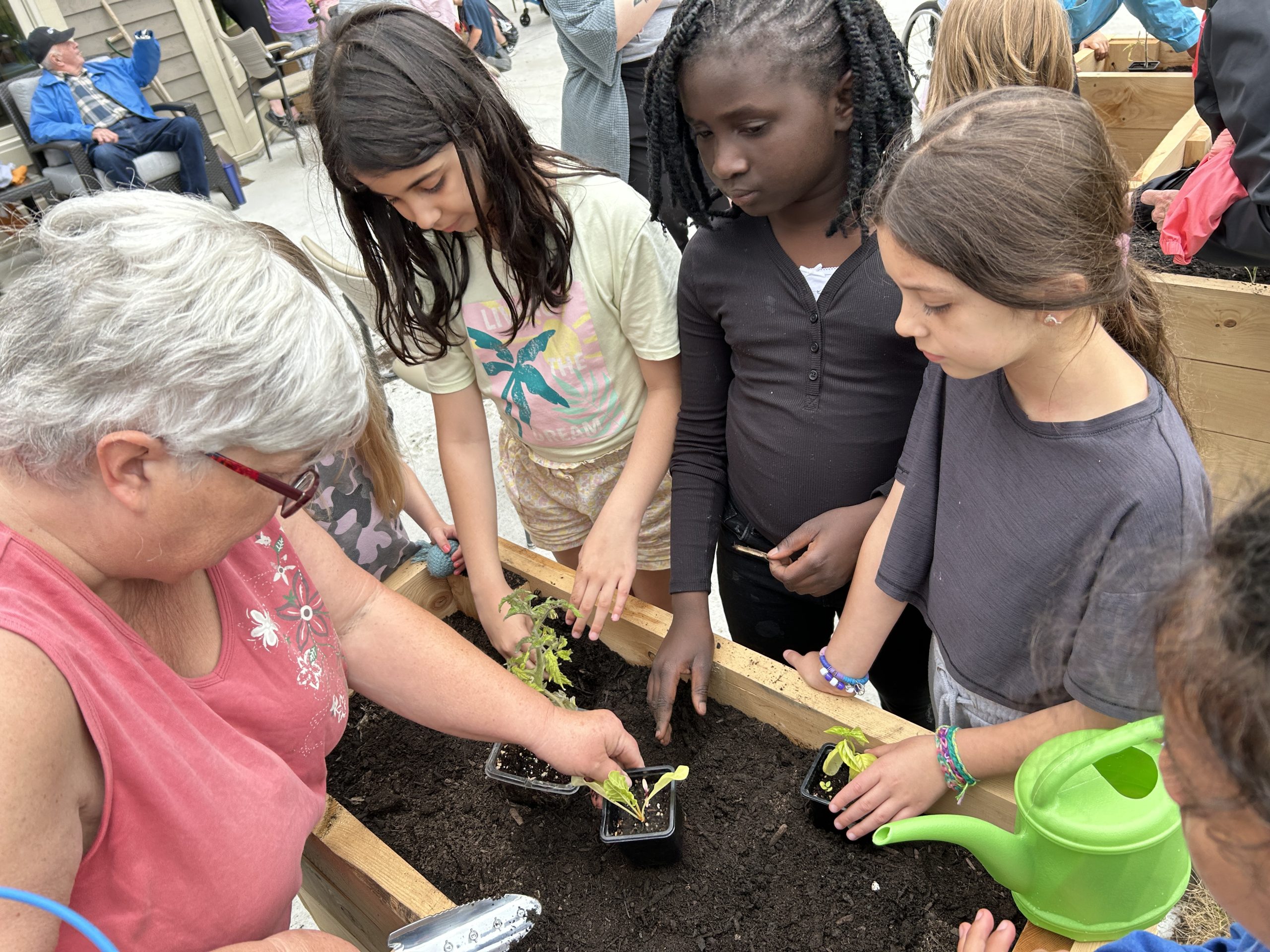 Carol Muncer, youth and family programming coordinator with Hayes Farm, helps Gibson Neill Memorial Elementary School Grade 3 students plant food plants at Shannex's Neill Hall on June 10. The students cultivated the plants after learning about food plants in class and during an earlier visit to Hayes Farm.