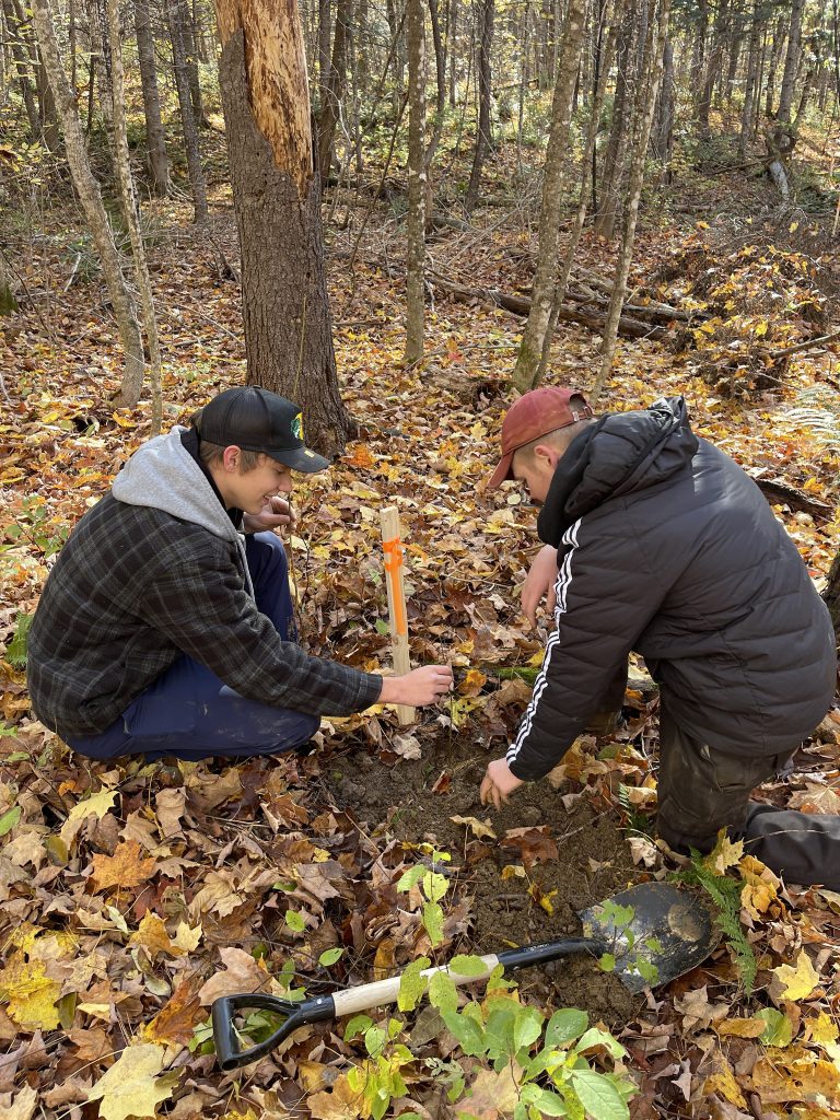 Students from Woodstock High School's forestry 110 class plant trees at the Meduxnekeag Valley Nature Preserve in October. Photo Credit: MRA