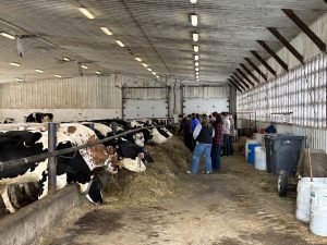 Students from Nackawic and Harvey high schools learn about the province's agriculture industry on a tour of Fenwick Farms on Wednesday, March 26.